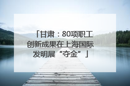 甘肃：80项职工创新成果在上海国际发明展“夺金”